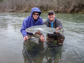 Guided Steelhead Trips