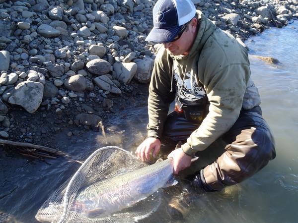 Steelhead Fishing Trip